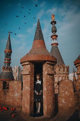 海贼王动漫全集在线观看免费版